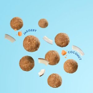 GO DESi Coconut Ladoo, 300 grams, Laddu, Laddoo, Rakhi Gift for Sister and Brother, Indian Sweets, Mithai Gift