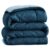 BSB HOME Microfibre All Season/AC/Summer Solid Reversible Double Bed Comforter Blanket | Blanket | Dohar | Duvets – (220 GSM, Aqua and Blue)