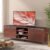 Amazon Brand – Solimo Aster Engineered Wood TV Unit (4 Doors & 7 Shelves, Cherry Finish) |TV Cabinet | TV Stand | TV Unit for Living Room